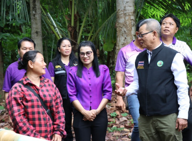 รองอธิบดีฯ ตรวจเยี่ยมแปลงเกษตรของ นายพิษณุ นางบุญเกื้อ ... พารามิเตอร์รูปภาพ 7